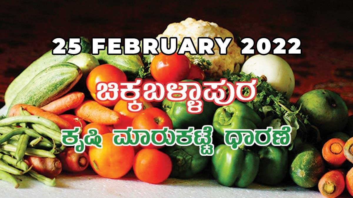 Chikkaballapur APMC Agriculture Farmers Market Farmer Food Products Prices