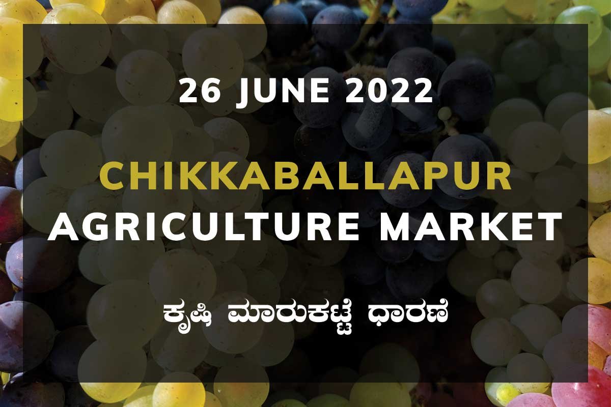 Chikkaballapur APMC Agriculture Farmers Market Farmer Food Products Prices