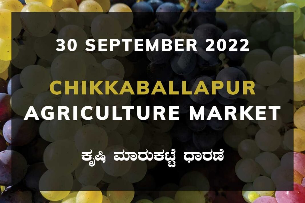 Chikkaballapur APMC Agriculture Farmers Market Farmer Food Products Prices