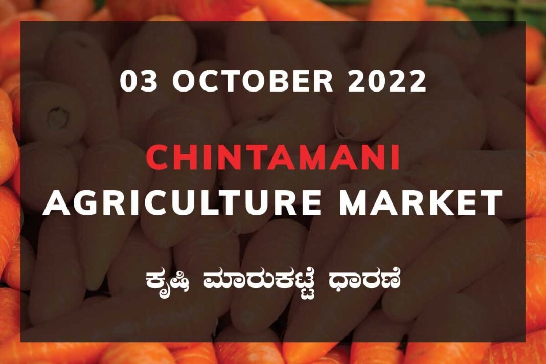 Chintamani APMC Agriculture Farmers Market Farmer Food Products Prices