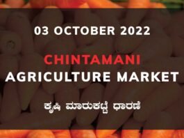 Chintamani APMC Agriculture Farmers Market Farmer Food Products Prices