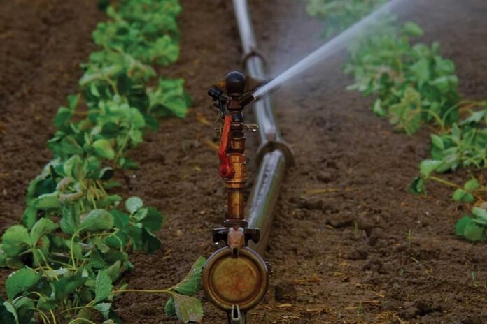 28OctSd02b Drip Irrigation Sprinkler Water Subsidy Government