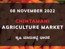 Chintamani APMC Agriculture Farmers Market Farmer Food Products Prices