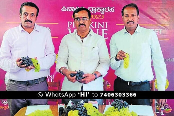 Gauribidanur Wine Festival by Department Of Horticulture and Karnataka Wine Board