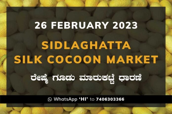 26FEB23Ka2e