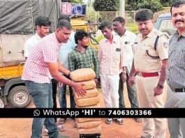 Ganja seize in Chintamani by Chikkaballapur CEN Police