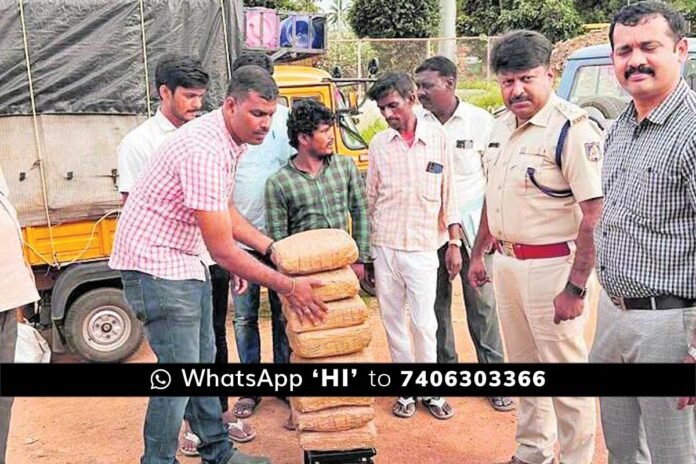 Ganja seize in Chintamani by Chikkaballapur CEN Police