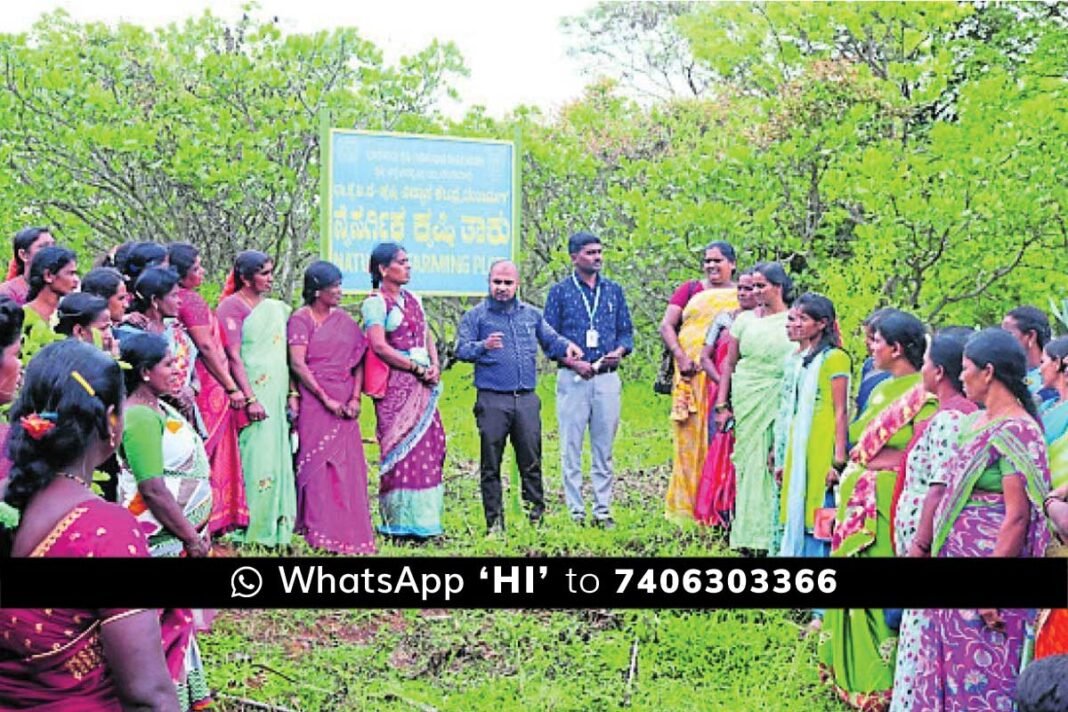 Chintamani natural farming program Kuruburu Agricultural Science Center