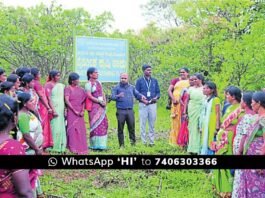 Chintamani natural farming program Kuruburu Agricultural Science Center