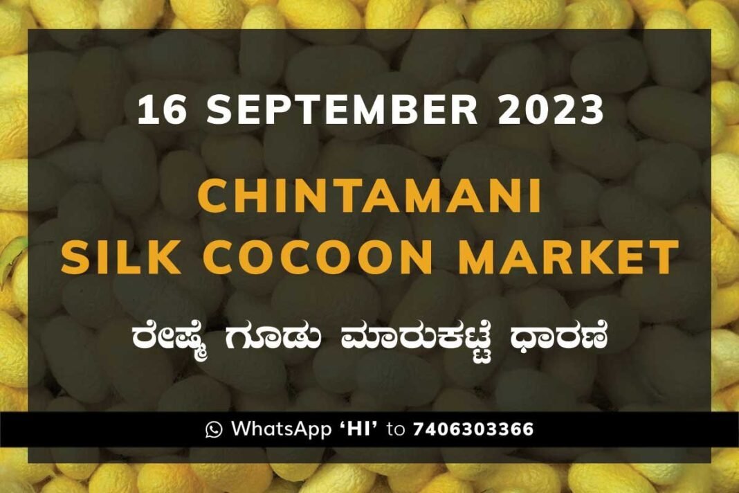 Chintamani Silk Cocoon Market