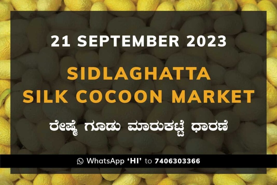 Sidlaghatta Cocoon Market