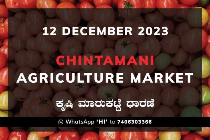 12DecCb03a Chintamani APMC Agriculture Market ಚಿಂತಾಮಣಿ ಕೃಷಿ ಮಾರುಕಟ್ಟೆ ಧಾರಣೆ