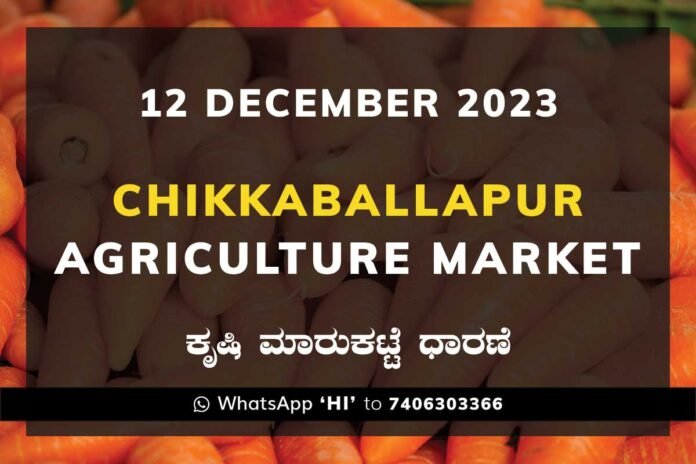 12DecCb03b Chikkaballapur APMC Agriculture Market ಚಿಕ್ಕಬಳ್ಳಾಪುರ ಕೃಷಿ ಮಾರುಕಟ್ಟೆ ಧಾರಣೆ