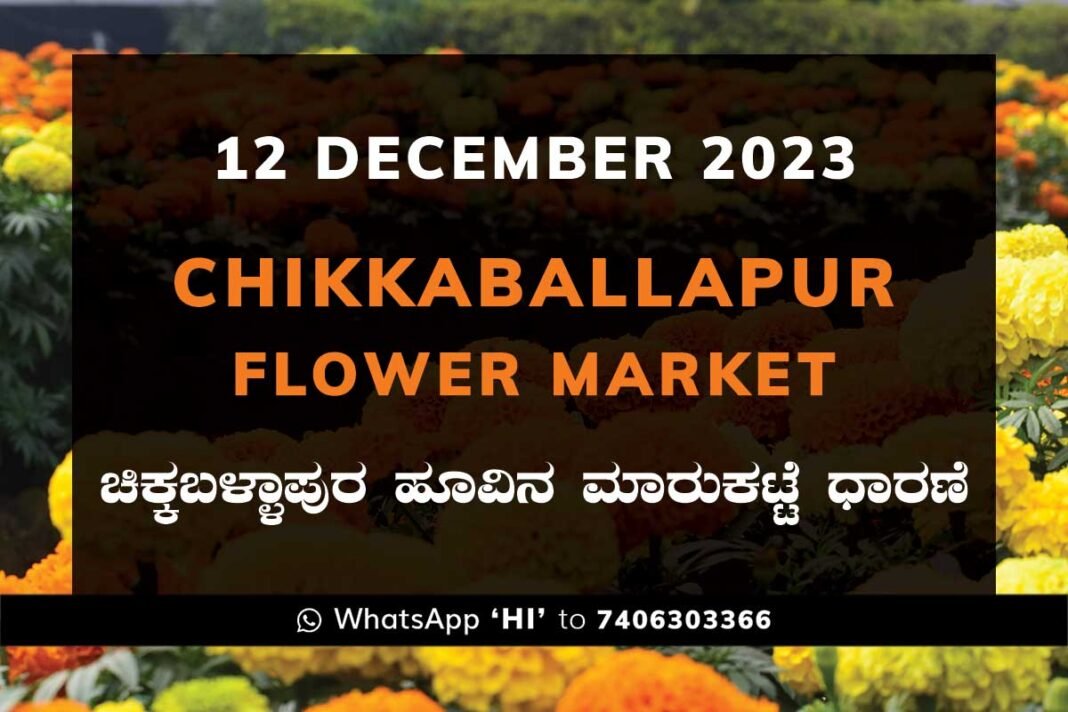 Chikkaballapur Flower Market ಚಿಕ್ಕಬಳ್ಳಾಪುರ ಹೂವಿನ ಮಾರುಕಟ್ಟೆ ಧಾರಣೆ