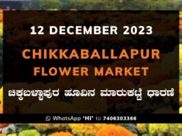 Chikkaballapur Flower Market ಚಿಕ್ಕಬಳ್ಳಾಪುರ ಹೂವಿನ ಮಾರುಕಟ್ಟೆ ಧಾರಣೆ