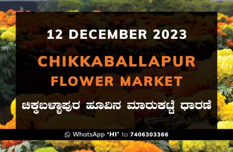 Chikkaballapur Flower Market ಚಿಕ್ಕಬಳ್ಳಾಪುರ ಹೂವಿನ ಮಾರುಕಟ್ಟೆ ಧಾರಣೆ