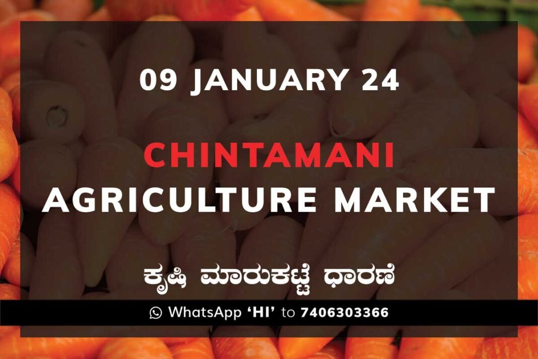 Chintamani APMC Agriculture Market ಚಿಂತಾಮಣಿ ಕೃಷಿ ಮಾರುಕಟ್ಟೆ ಧಾರಣೆ