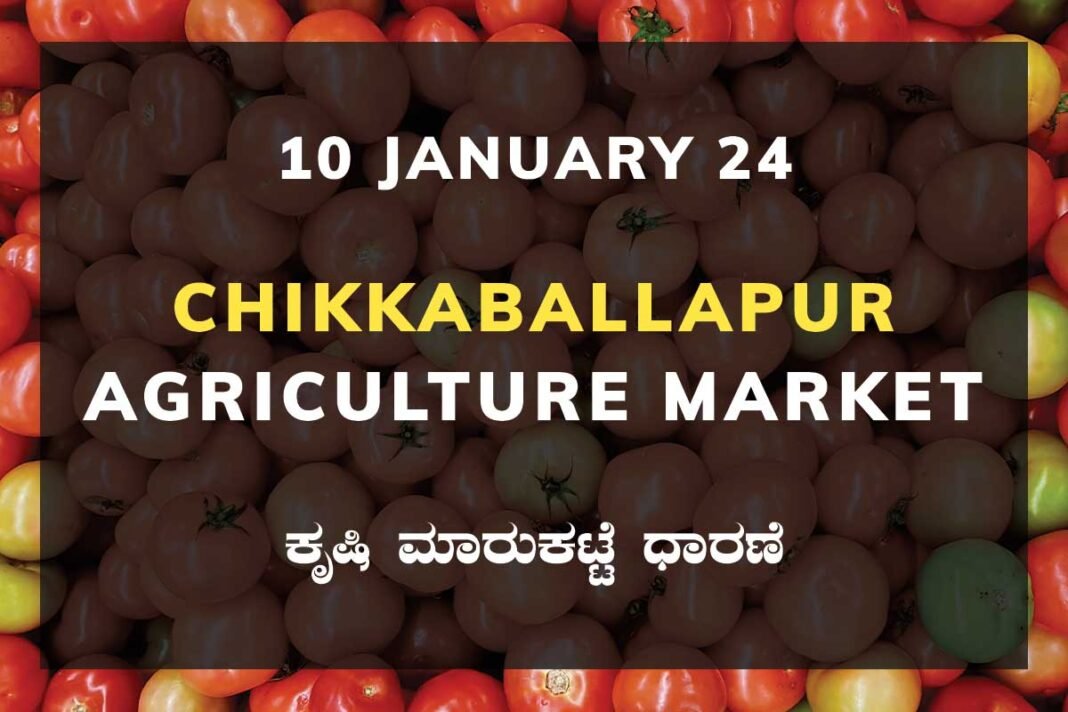 Chikkaballapur APMC Agriculture Market ಚಿಕ್ಕಬಳ್ಳಾಪುರ ಕೃಷಿ ಮಾರುಕಟ್ಟೆ ಧಾರಣೆ