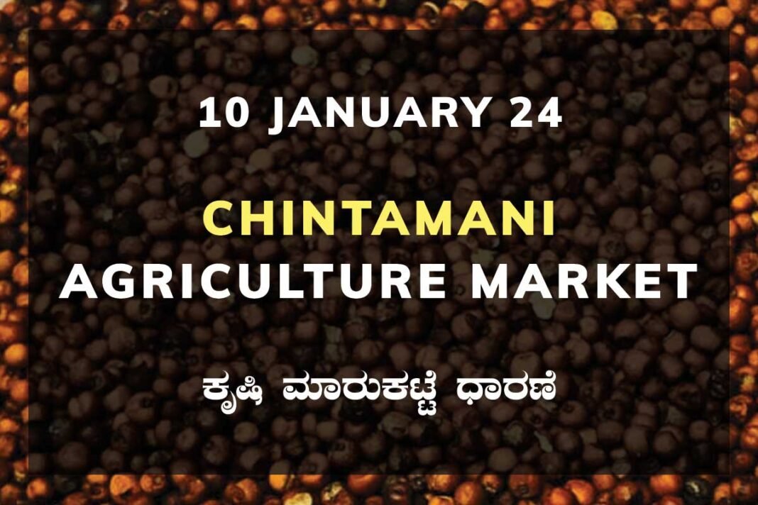 Chintamani APMC Agriculture Market ಚಿಂತಾಮಣಿ ಕೃಷಿ ಮಾರುಕಟ್ಟೆ ಧಾರಣೆ