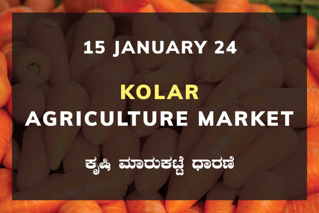 Kolar APMC Agriculture Market ಕೋಲಾರ ಕೃಷಿ ಮಾರುಕಟ್ಟೆ ಧಾರಣೆ