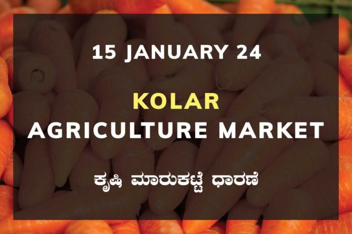 14Jan24Cb2l Kolar APMC Agriculture Market ಕೋಲಾರ ಕೃಷಿ ಮಾರುಕಟ್ಟೆ ಧಾರಣೆ