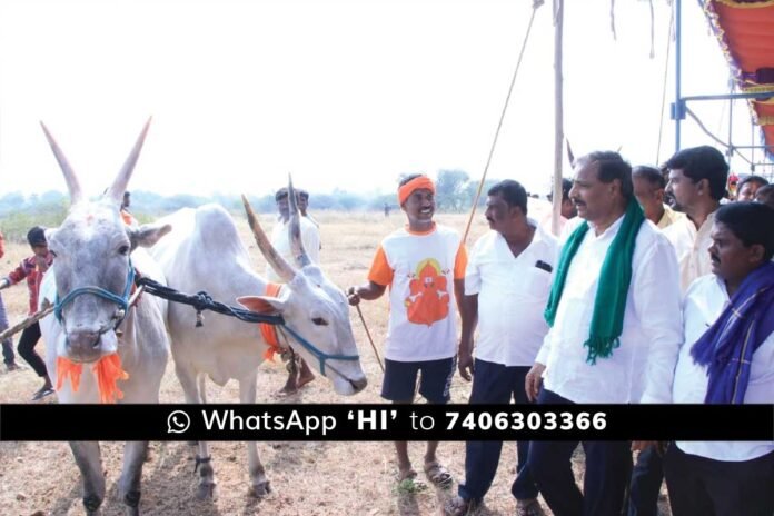 15JanCBP02 Gauribidanur Huduguru Bullock cart Race