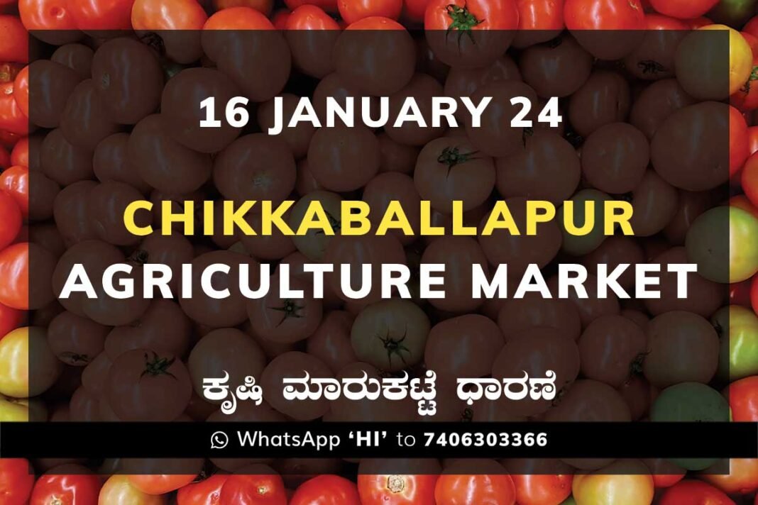 Chikkaballapur APMC Agriculture Market ಚಿಕ್ಕಬಳ್ಳಾಪುರ ಕೃಷಿ ಮಾರುಕಟ್ಟೆ ಧಾರಣೆ