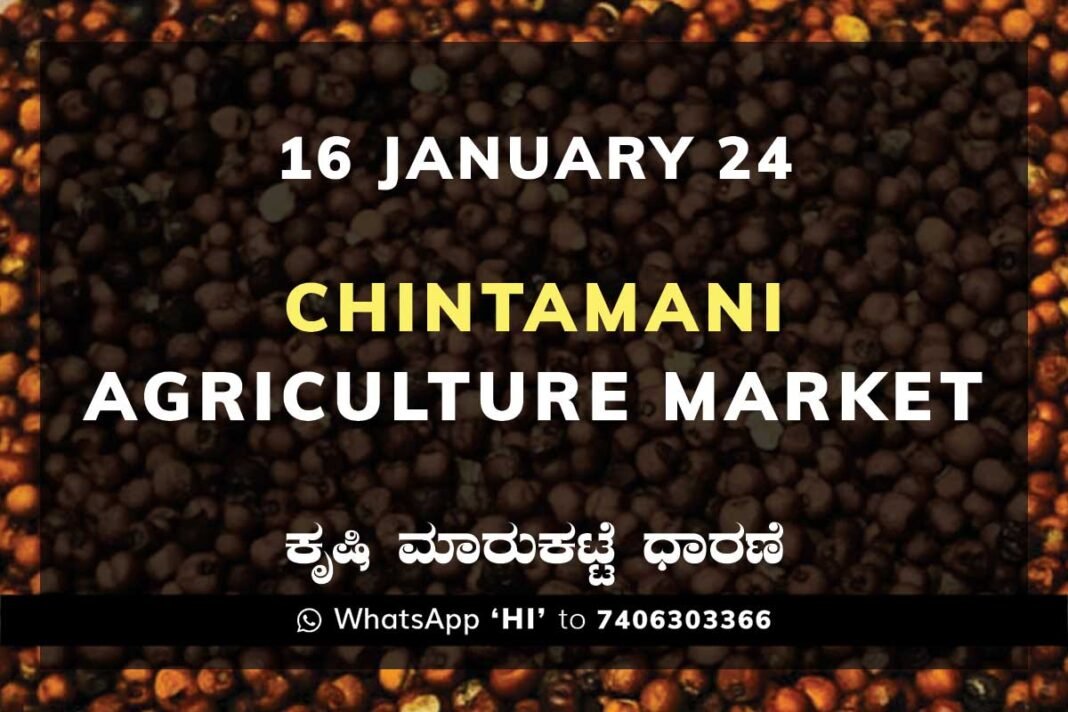 Chintamani APMC Agriculture Market ಚಿಂತಾಮಣಿ ಕೃಷಿ ಮಾರುಕಟ್ಟೆ ಧಾರಣೆ