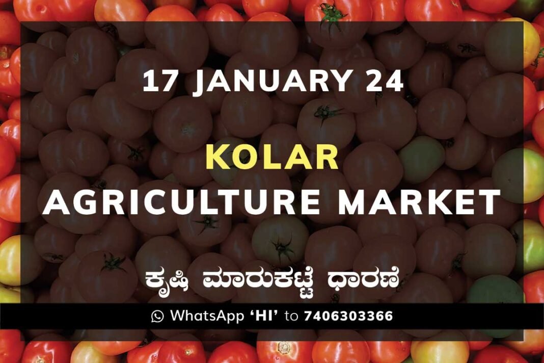 Kolar APMC Agriculture Market ಕೋಲಾರ ಕೃಷಿ ಮಾರುಕಟ್ಟೆ ಧಾರಣೆ