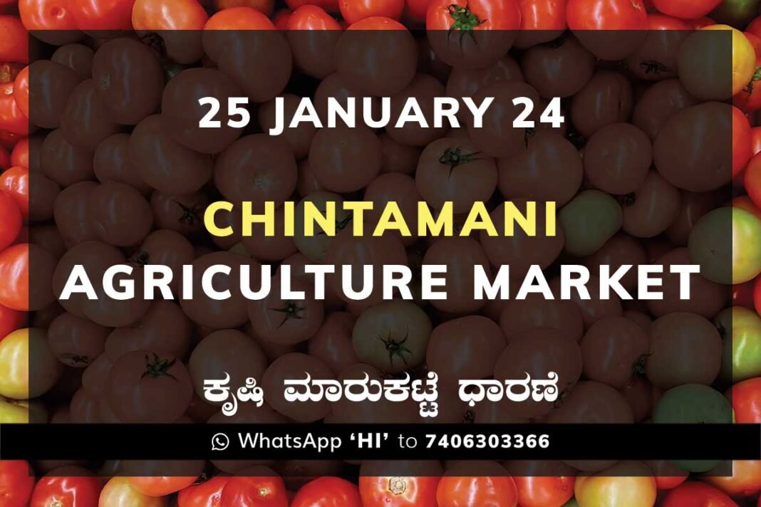 Chintamani APMC Agriculture Market ಚಿಂತಾಮಣಿ ಕೃಷಿ ಮಾರುಕಟ್ಟೆ ಧಾರಣೆ