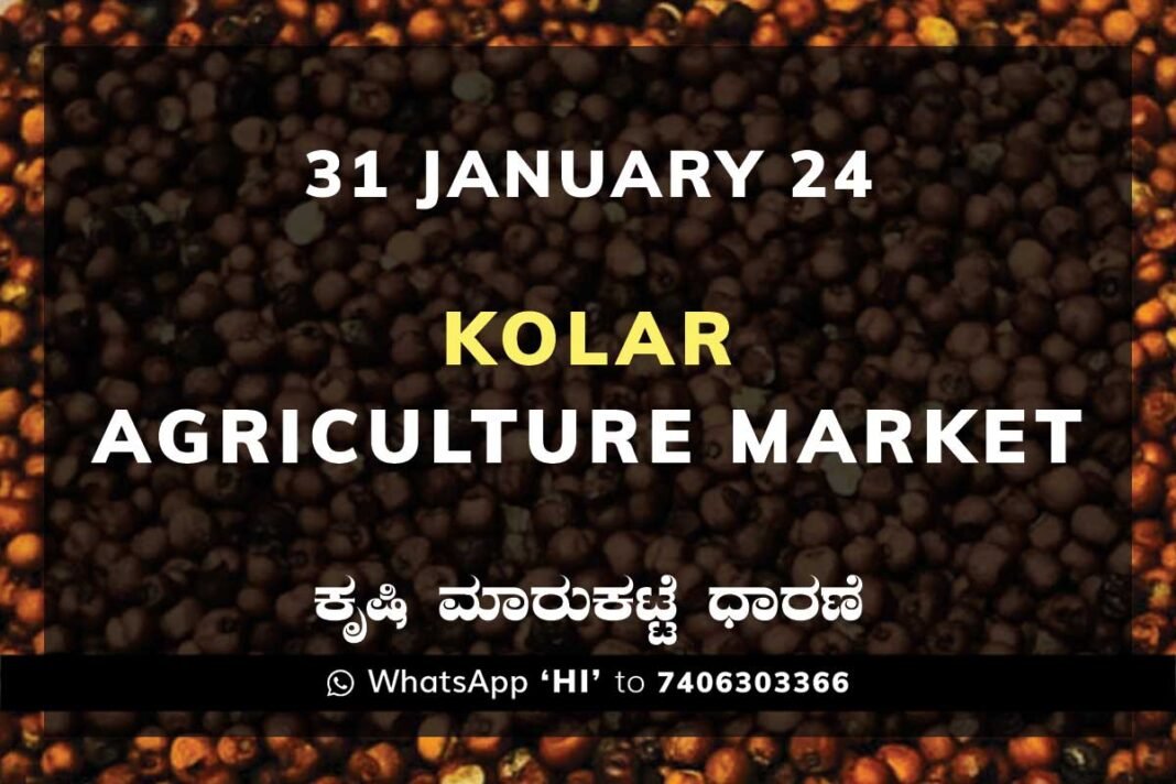 Kolar APMC Agriculture Market ಕೋಲಾರ ಕೃಷಿ ಮಾರುಕಟ್ಟೆ ಧಾರಣೆ