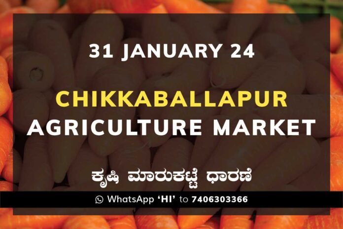 Chikkaballapur APMC Agriculture Market ಚಿಕ್ಕಬಳ್ಳಾಪುರ ಕೃಷಿ ಮಾರುಕಟ್ಟೆ ಧಾರಣೆ