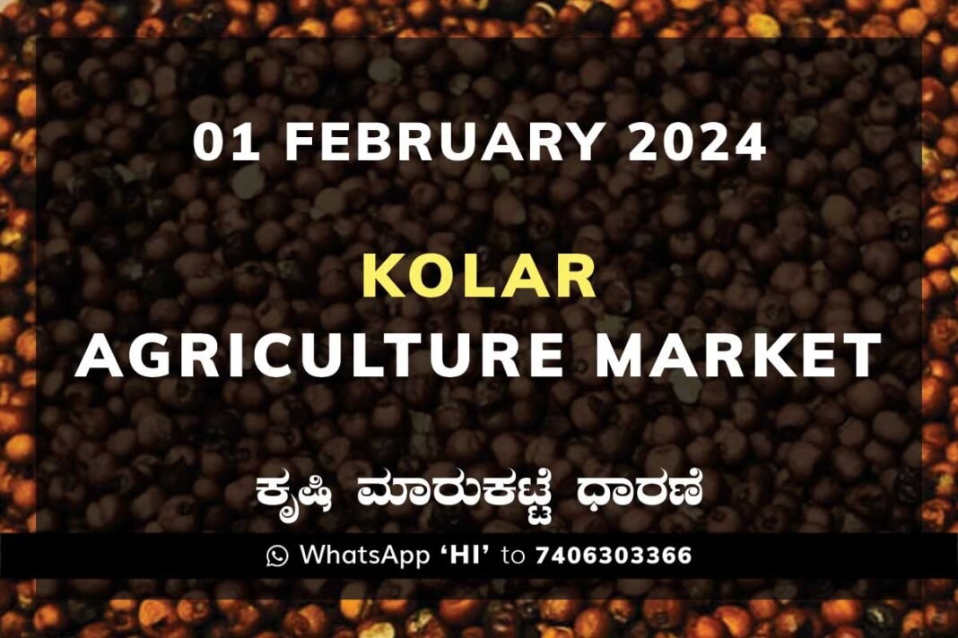 Kolar APMC Agriculture Market ಕೋಲಾರ ಕೃಷಿ ಮಾರುಕಟ್ಟೆ ಧಾರಣೆ