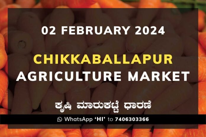 Chikkaballapur APMC Agriculture Market ಚಿಕ್ಕಬಳ್ಳಾಪುರ ಕೃಷಿ ಮಾರುಕಟ್ಟೆ ಧಾರಣೆ