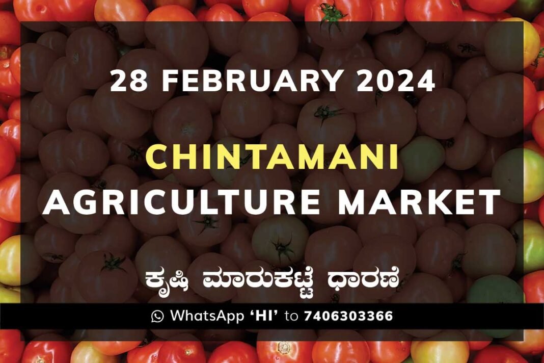 Chintamani APMC Agriculture Market ಚಿಂತಾಮಣಿ ಕೃಷಿ ಮಾರುಕಟ್ಟೆ ಧಾರಣೆ