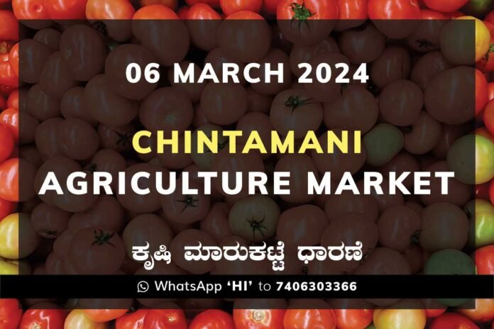 06MAR24Cb2a Chintamani APMC Agriculture Market ಚಿಂತಾಮಣಿ ಕೃಷಿ ಮಾರುಕಟ್ಟೆ ಧಾರಣೆ