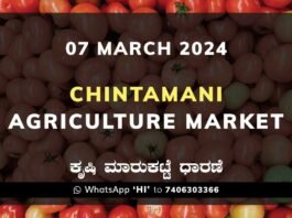 Chintamani APMC Agriculture Market ಚಿಂತಾಮಣಿ ಕೃಷಿ ಮಾರುಕಟ್ಟೆ ಧಾರಣೆ
