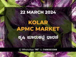 Kolar APMC Agriculture Market ಕೋಲಾರ ಕೃಷಿ ಮಾರುಕಟ್ಟೆ ಧಾರಣೆ