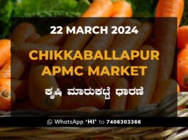 Chikkaballapur APMC Agriculture Market ಚಿಕ್ಕಬಳ್ಳಾಪುರ ಕೃಷಿ ಮಾರುಕಟ್ಟೆ ಧಾರಣೆ