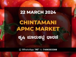 Chintamani APMC Agriculture Market ಚಿಂತಾಮಣಿ ಕೃಷಿ ಮಾರುಕಟ್ಟೆ ಧಾರಣೆ