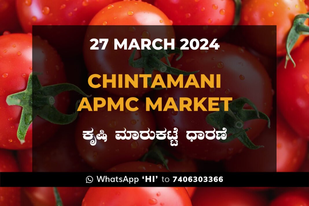 Chintamani APMC Agriculture Market ಚಿಂತಾಮಣಿ ಕೃಷಿ ಮಾರುಕಟ್ಟೆ ಧಾರಣೆ