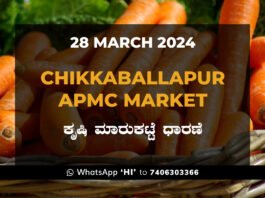 Chikkaballapur APMC Agriculture Market ಚಿಕ್ಕಬಳ್ಳಾಪುರ ಕೃಷಿ ಮಾರುಕಟ್ಟೆ ಧಾರಣೆ