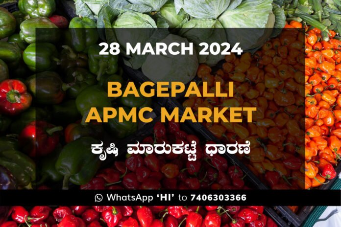 28Mar24CB02d Bagepalli APMC Agriculture Market ಬಾಗೇಪಲ್ಲಿ ಕೃಷಿ ಮಾರುಕಟ್ಟೆ ಧಾರಣೆ
