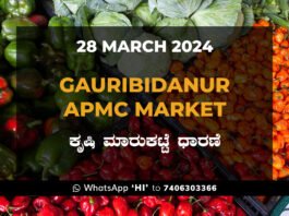 Gauribidanur APMC Agriculture Market ಗೌರಿಬಿದನೂರು ಕೃಷಿ ಮಾರುಕಟ್ಟೆ ಧಾರಣೆ
