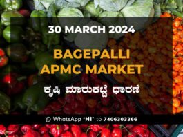 Bagepalli APMC Agriculture Market ಬಾಗೇಪಲ್ಲಿ ಕೃಷಿ ಮಾರುಕಟ್ಟೆ ಧಾರಣೆ