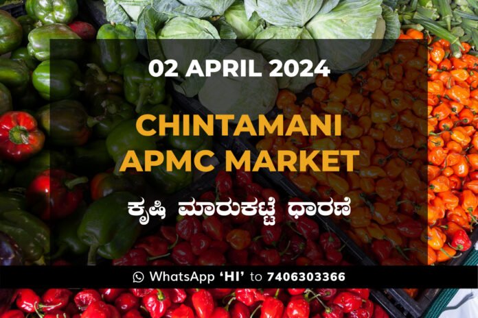 02Apr24CB02a Chintamani APMC Agriculture Market ಚಿಂತಾಮಣಿ ಕೃಷಿ ಮಾರುಕಟ್ಟೆ ಧಾರಣೆ