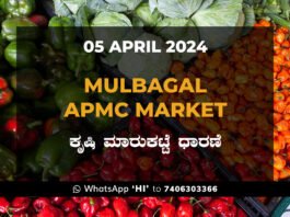 Mulbagal Mulabagilu APMC Agriculture Market ಮುಳಬಾಗಿಲು ಕೃಷಿ ಮಾರುಕಟ್ಟೆ ಧಾರಣೆ