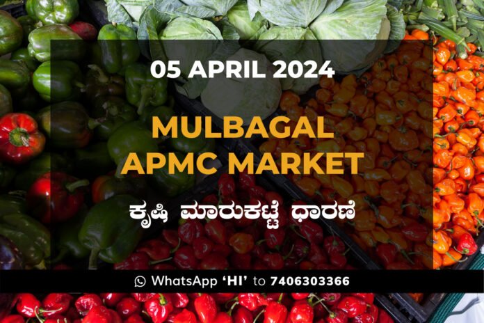 05Apr24CB02h Mulbagal Mulabagilu APMC Agriculture Market ಮುಳಬಾಗಿಲು ಕೃಷಿ ಮಾರುಕಟ್ಟೆ ಧಾರಣೆ