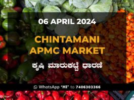 Chintamani APMC Agriculture Market ಚಿಂತಾಮಣಿ ಕೃಷಿ ಮಾರುಕಟ್ಟೆ ಧಾರಣೆ