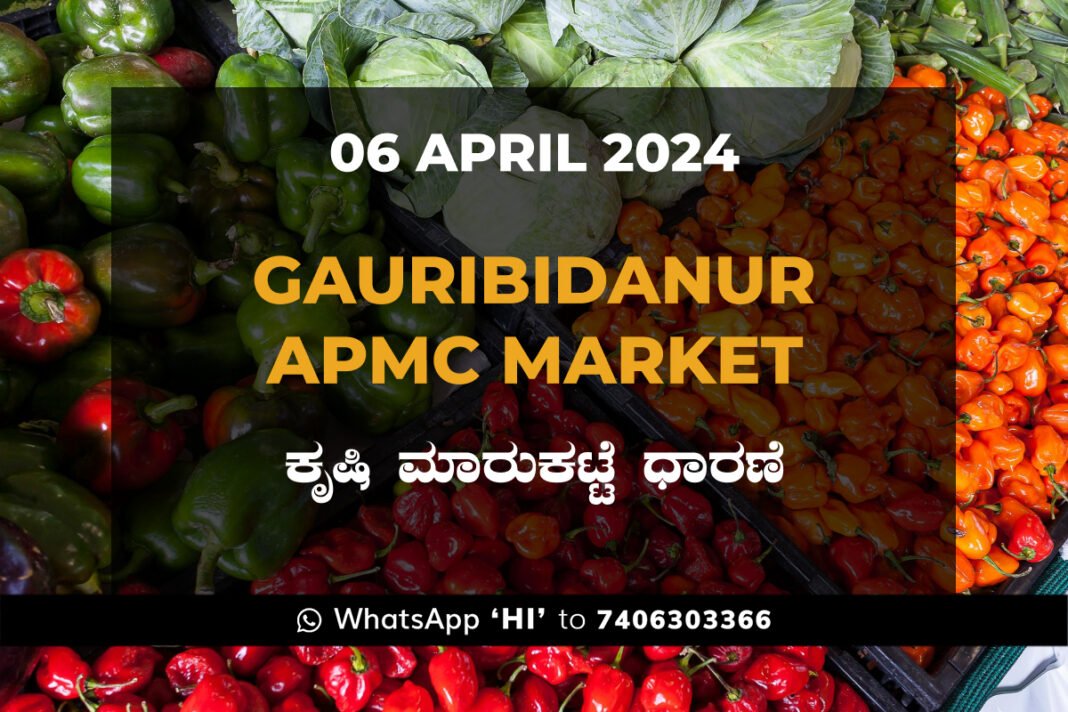 Gauribidanur APMC Agriculture Market ಗೌರಿಬಿದನೂರು ಕೃಷಿ ಮಾರುಕಟ್ಟೆ ಧಾರಣೆ